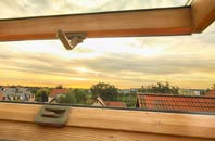 rated Sudbury roof window companies